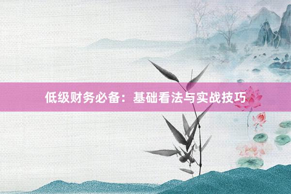 低级财务必备：基础看法与实战技巧